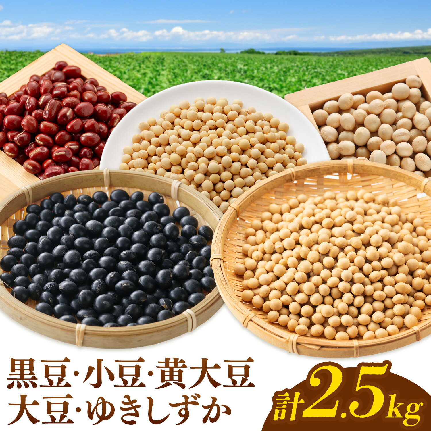 【ふるさと納税】本別 豆 セット 各500g 5種類 2.5kg 特定非営利活動法人 銀河ほんべつ《30日以内に出荷予定(土日祝除く)》大豆 黒豆 小豆 ゆきしずか 黄大豆