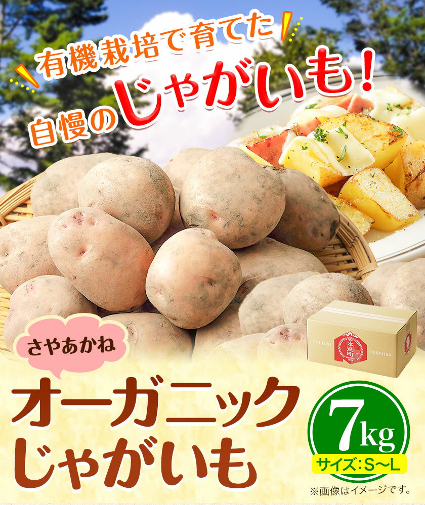 【ふるさと納税】じゃがいも 北海道十勝 オーガニック じゃがいも 7kg サイズ S-2L《11月下旬-3月中旬頃出荷》 オフイビラ源吾農場 送料無料 北海道 本別町 さやあかね 負箙源吾農場