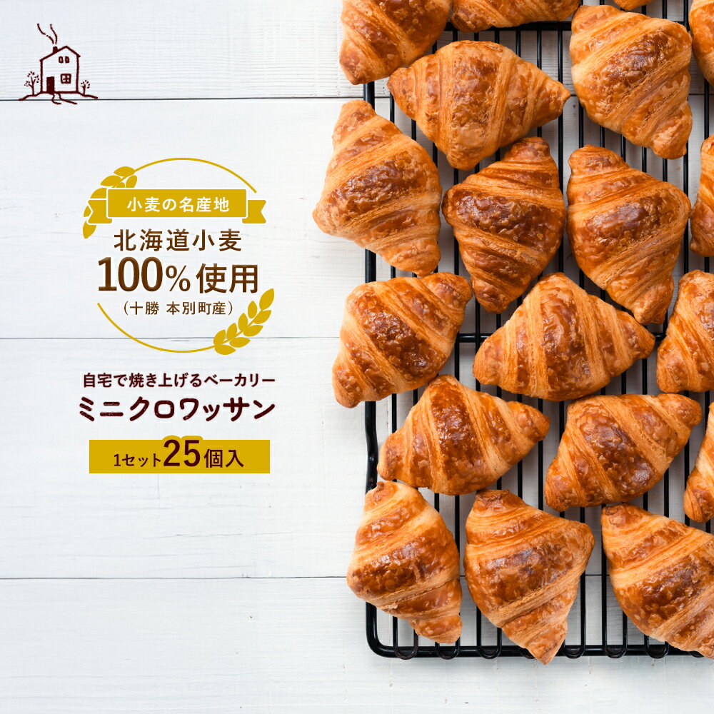 【ふるさと納税】ミニクロワッサン 25個 セット パン ローカルベーカリー《7-14営業日以内に出荷予定(土日祝除く)》急速冷凍 手作り 朝ごはん おやつ 軽食...