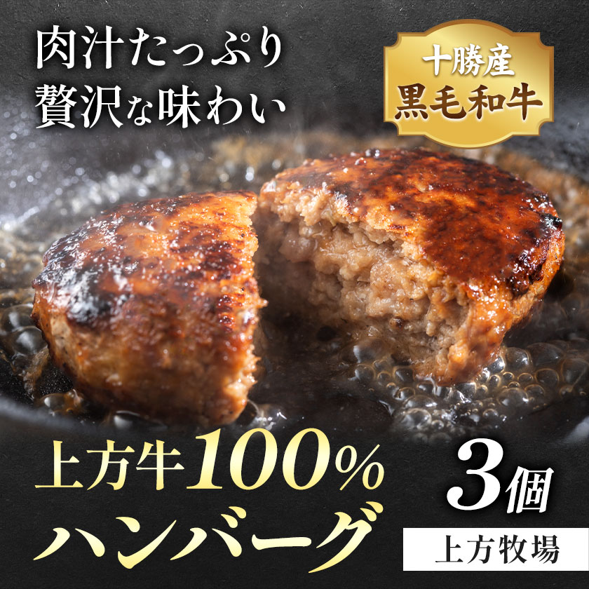【ふるさと納税】十勝産 黒毛和牛 上方牛100％ ハンバーグ 3個 300g 100g×3枚 上方牧場《30日以内に出荷予定(土日祝除く)》北海道 本別町 肉 おかず 送料無料