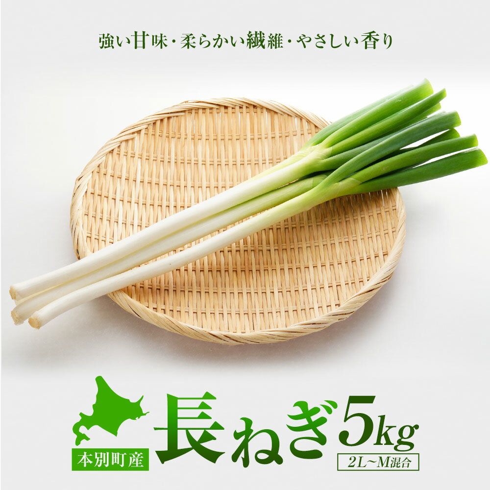 本別産 長ねぎ 5kg 2L〜M 混合 石上農場[11月上旬から1月下旬頃出荷]北海道 本別町 送料無料 北海道 本別町 十勝 本別町産 ねぎ 長ネギ 野菜 5キロ