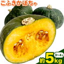 【ふるさと納税】 こふき かぼちゃ 南瓜 約5kg 3~4玉 《2025年10月中旬-11月中旬頃出荷》高橋賢三 送料無料 北海道 本別町 北海道 十勝 本別町産 かぼちゃ 栗かぼちゃ パンプキン ホクホク 野菜