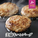 【ふるさと納税】幻の十勝牛 美蘭牛「ハンバーグ」120g×10個入り 岡本精肉店 送料無料 北海道 本別町《60日以内に出荷予定(土日祝除く)》