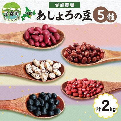 北海道 令和5年産 あしょろの豆 5種 400g×各1袋 計2kg 小豆 黒大豆 大納言小豆 大正金時 中長うずら豆 豆 十勝 和菓子 和食 詰め合わせ 常温 お取り寄せ 党崎農場 送料無料　【大豆・豆類・野菜・あずき】　お届け：2023年12月中旬～2024年8月下旬まで