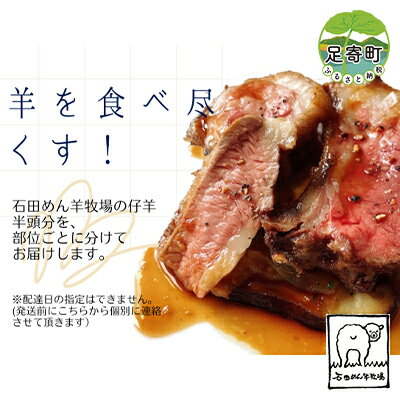 【ふるさと納税】【羊を食べ尽くす！】石田めん羊牧場のホゲット