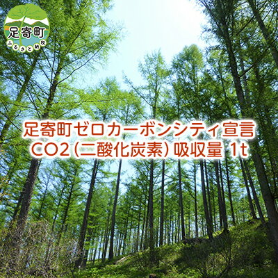 4位! 口コミ数「0件」評価「0」カーボンオフセット CO2（二酸化炭素）吸収量　1t　【 地域のお礼の品 カタログ 感謝状 】