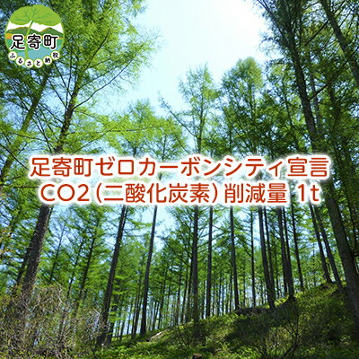 34位! 口コミ数「0件」評価「0」カーボンオフセット CO2（二酸化炭素）削減量　1t　【 地域のお礼の品 カタログ 感謝状 バイオマス 】