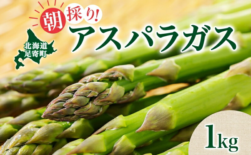 【ふるさと納税】北海道足寄町産　朝採りハウスアスパラ　1kg　【 野菜 旬の野菜 北海道産 北海道野菜 国産 朝採りアスパラ グルメ グリーンアスパラガス 朝採り野菜 】　お届け：2024年4月下旬より出荷開始