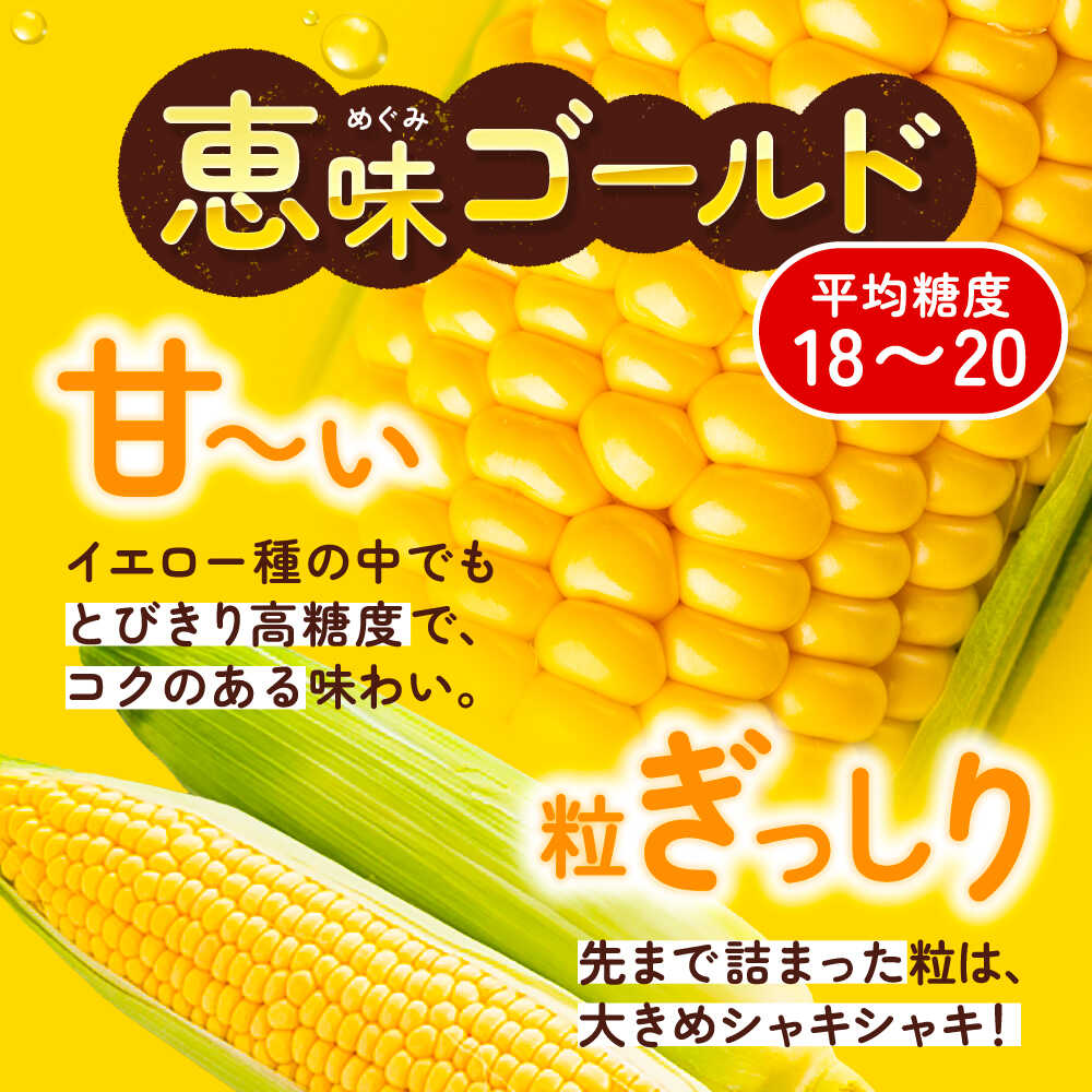 北海道足寄町の画像3