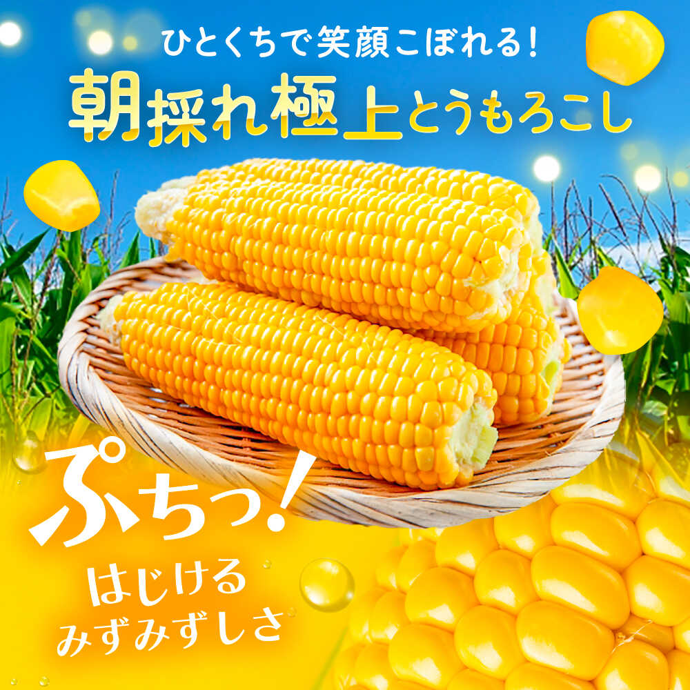 【ふるさと納税】【 全2回 定期便 】 北海道 とうもろこし（ 10本 ）＆ じゃがいも （ 10kg ）足寄町/党崎農場 [BEAA008]