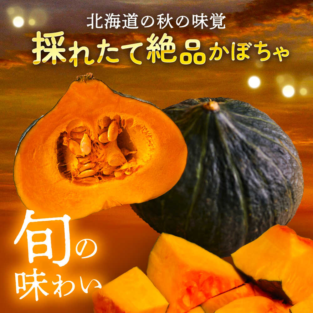 【ふるさと納税】 北海道産 じゃがいも ＆ かぼちゃ 計 10kg 《足寄町》【党崎農場】 ジャガイモ カボチャ 北海道 道産 国産 野菜 旬 ポテト 食べ比べ セット ハロウィン 南瓜 芋 いも イモ スープ スイーツ お菓子 甘い 3kg 4kg 5kg 6kg あしょろ きたあかり [BEAA009]