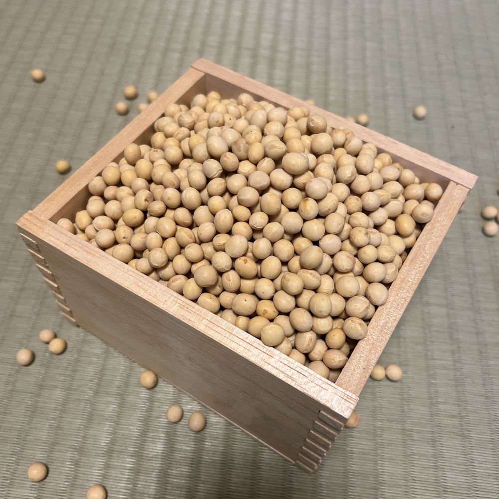 樂天商城 - 【ふるさと納税】北海道 あしょろの大豆 1kg×2袋《足寄町》【党崎農場】[BEAA026] 大豆 豆 まめ マメ