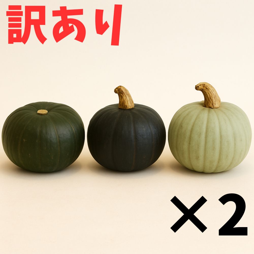 【ふるさと納税】【先行予約】【訳あり】 北海道 かぼちゃ 訳あり ダークホース ・ とっておき ・ 特濃こふき 3種類 × 2個 【9月中旬以降発送】足寄町/足寄アグリバイオ株式会社 [BEAC015]
