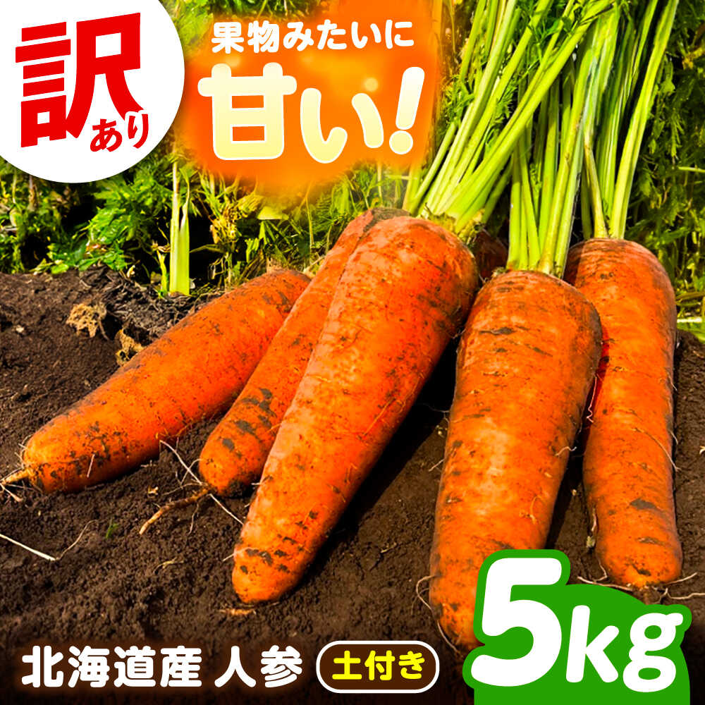 【ふるさと納税】【訳あり】 北海道 にんじん 5kg （土付き）足寄町/餌取農場 [BEBA005]