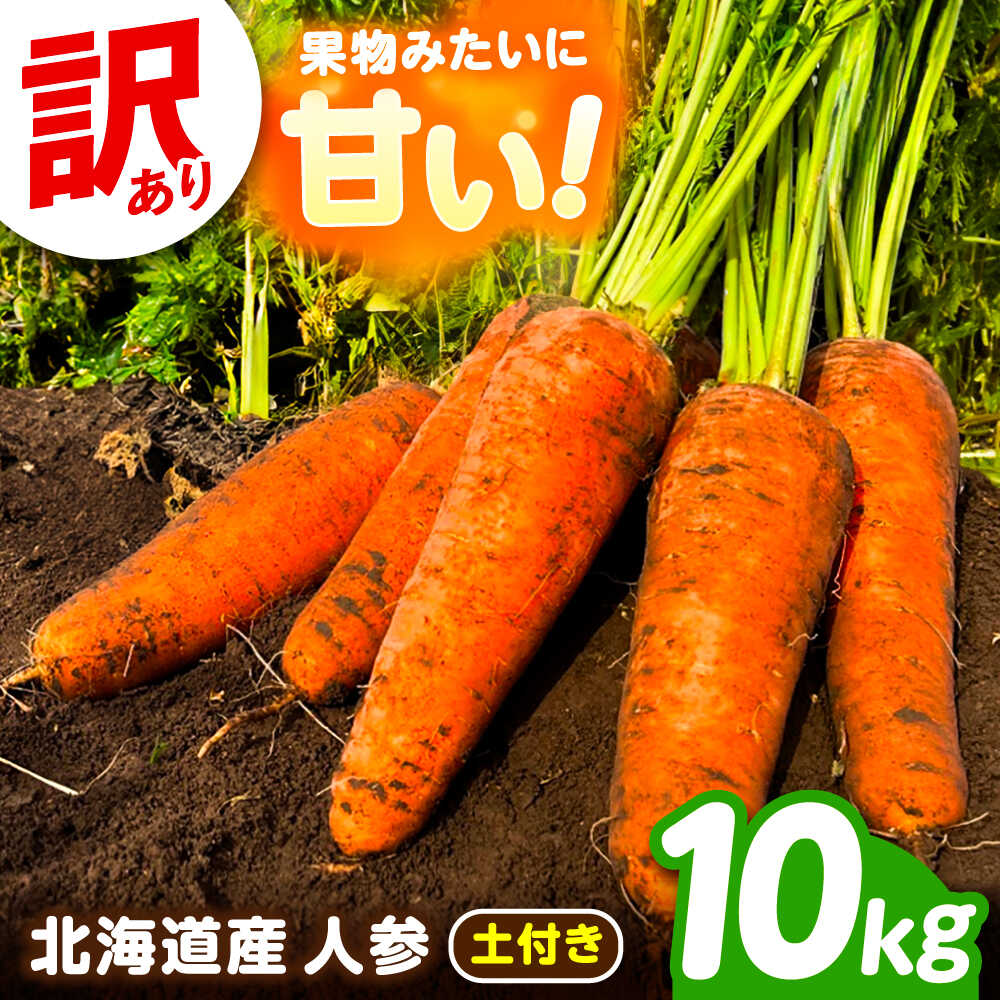 【ふるさと納税】【訳あり】 北海道 にんじん 10kg （土付き）足寄町/餌取農場 [BEBA006]