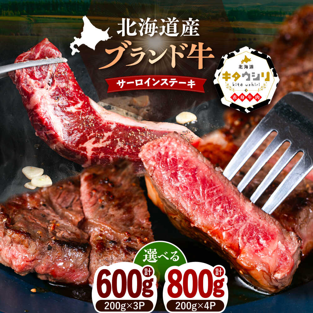 北海道産牛 サーロインステーキ 600g/800g 選べる容量 足寄町/北海道チクレンミート [BEBJ001]