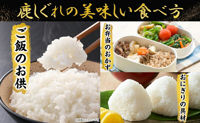 【ふるさと納税】りくべつ鹿しぐれ【5個】鹿肉 肉 ジビエ 冷蔵便 送料無料 エゾシ...