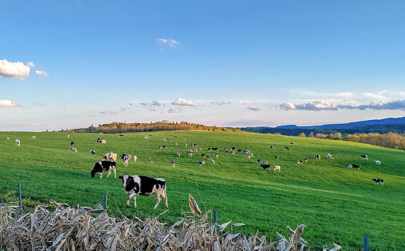 北海道陸別町の画像3