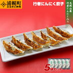 【ふるさと納税】旨さがあふれ出す、行者にんにく餃子（220g×5パック）北海道のご当地餃子