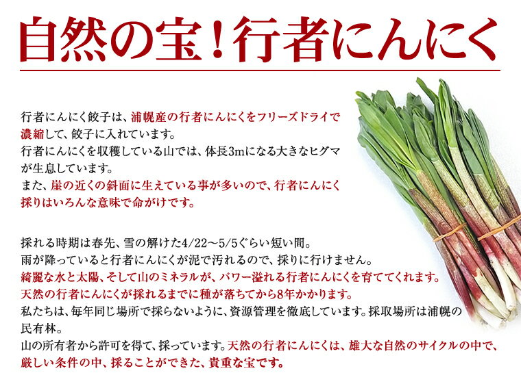 【ふるさと納税】旨さがあふれ出す、行者にんにく餃子（220g×5パック）北海道のご当地餃子