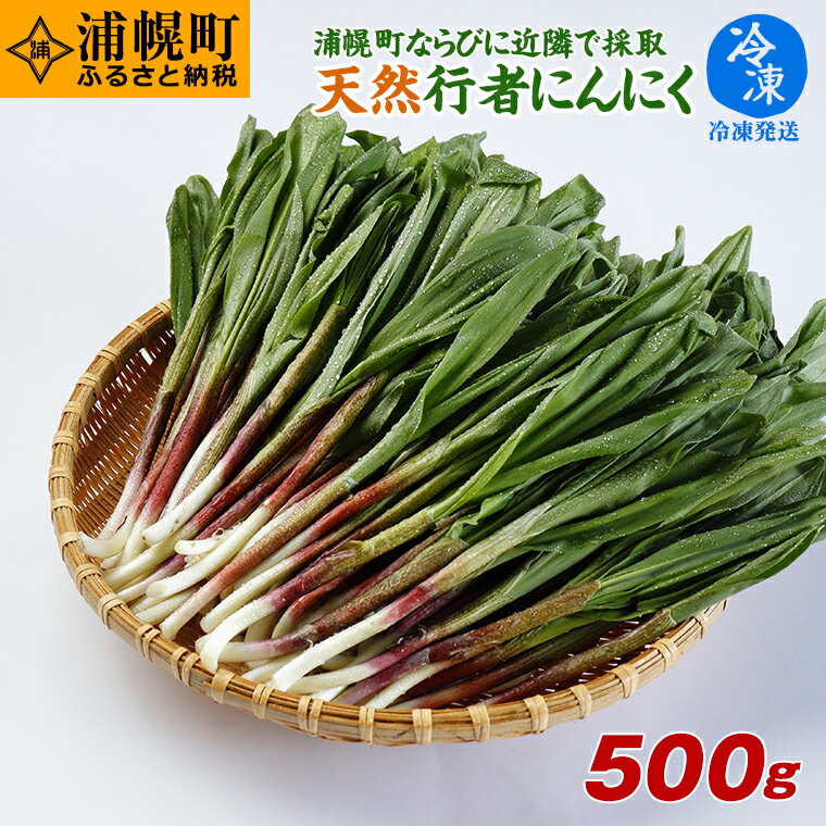 冷凍天然行者にんにく500g 旬の時期に収穫し冷凍