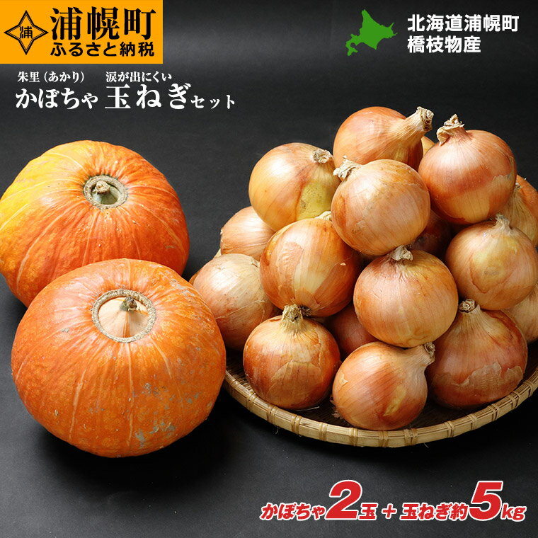 【ふるさと納税】かぼちゃ（2玉）とたまねぎ（約5kg）のセット 【10月上旬以降発送】のサムネイル