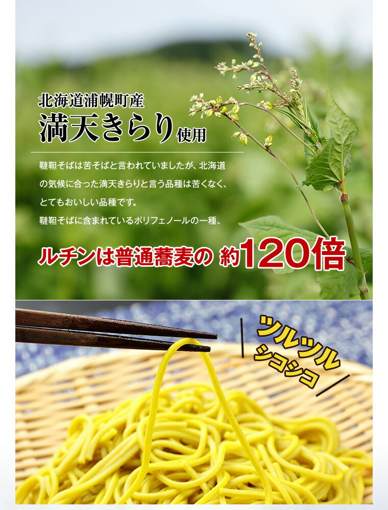 【ふるさと納税】北海道産韃靼そば「満天きらり」の乾麺　300g×2袋