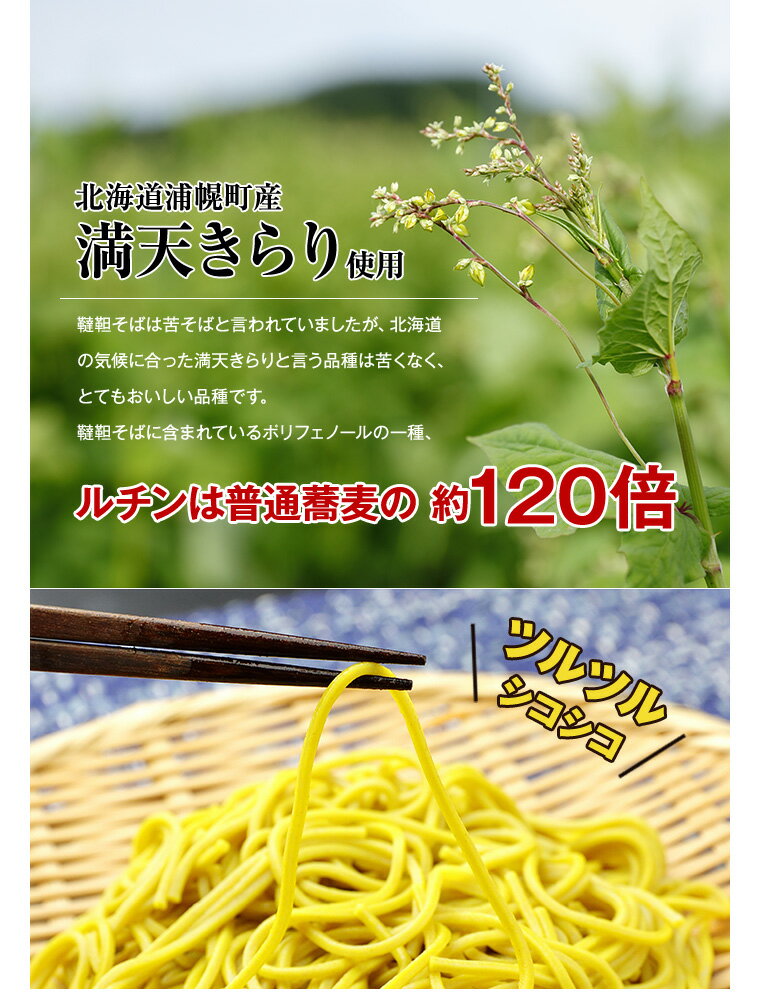 【ふるさと納税】北海道産韃靼そば「満天きらり」セット（韃靼そば乾麺 300g×2袋・韃靼そば茶100g×1袋）