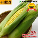 11位! 口コミ数「7件」評価「4.43」とうもろこし10本 おひさまコーン 元木農場 北海道 浦幌町産 生でも食べられる糖度20度以上 朝もぎたてとうもろこし 朝採り 旬の時期にお･･･ 