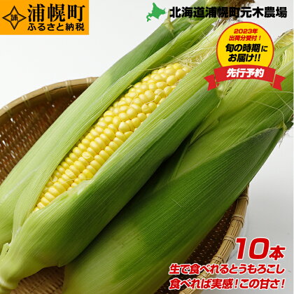 とうもろこし10本 おひさまコーン 元木農場 北海道 浦幌町産 生でも食べられる糖度20度以上 朝もぎたてとうもろこし 朝採り 旬の時期にお届け【8月中旬-9月中旬より順次出荷】