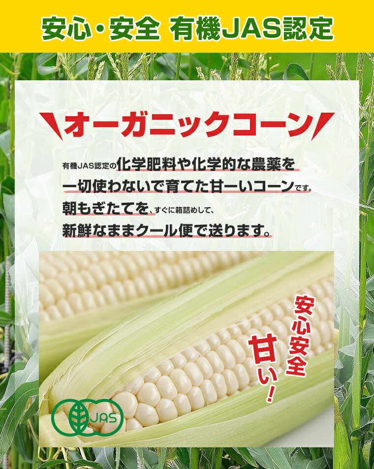 【ふるさと納税】オーガニック ホワイトコーン 10本 伊場ファーム 北海道浦幌町産 朝もぎたて とうもろこし 旬の時期にお届け 朝採り【8月下旬-9月中旬より順次出荷】