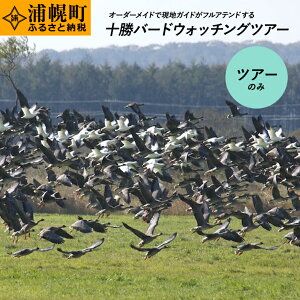 【ふるさと納税】十勝バードウォッチングツアー ツアーのみ 体験型返礼品