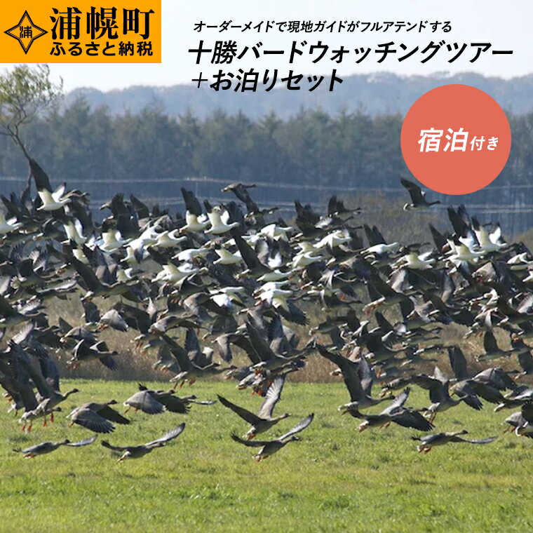 51位! 口コミ数「0件」評価「0」十勝バードウォッチングツアー ツアー+お泊りセット 体験型返礼品