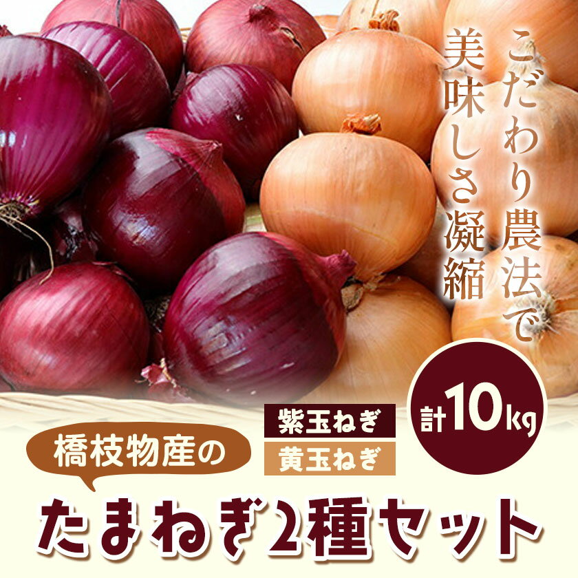 【ふるさと納税】電子技法栽培たまねぎ2種セット 紫玉ねぎ 黄玉ねぎ 合計約10kg 野菜《10月上旬から順次出荷》橋枝物産 北海道 浦幌町