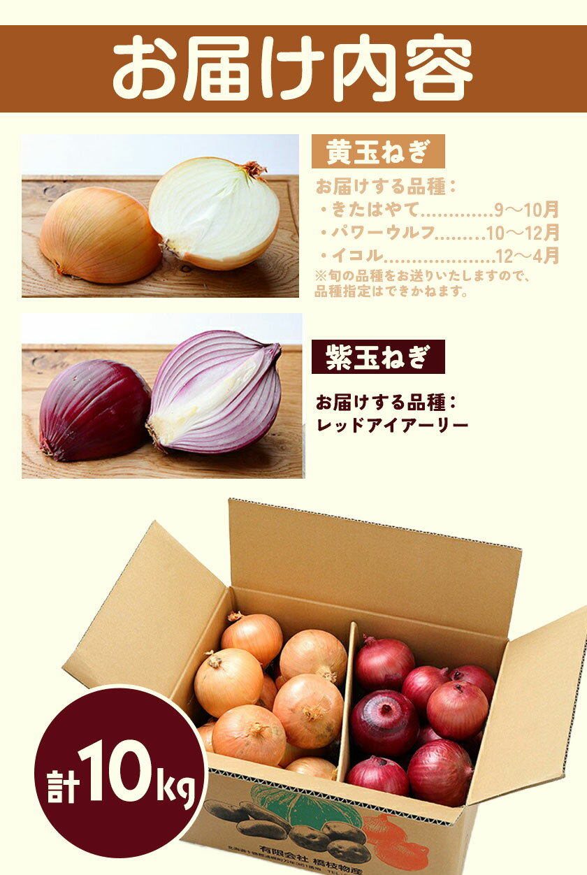 【ふるさと納税】電子技法栽培たまねぎ2種セット 紫玉ねぎ 黄玉ねぎ 合計約10kg 野菜《10月上旬から順次出荷》橋枝物産 北海道 浦幌町