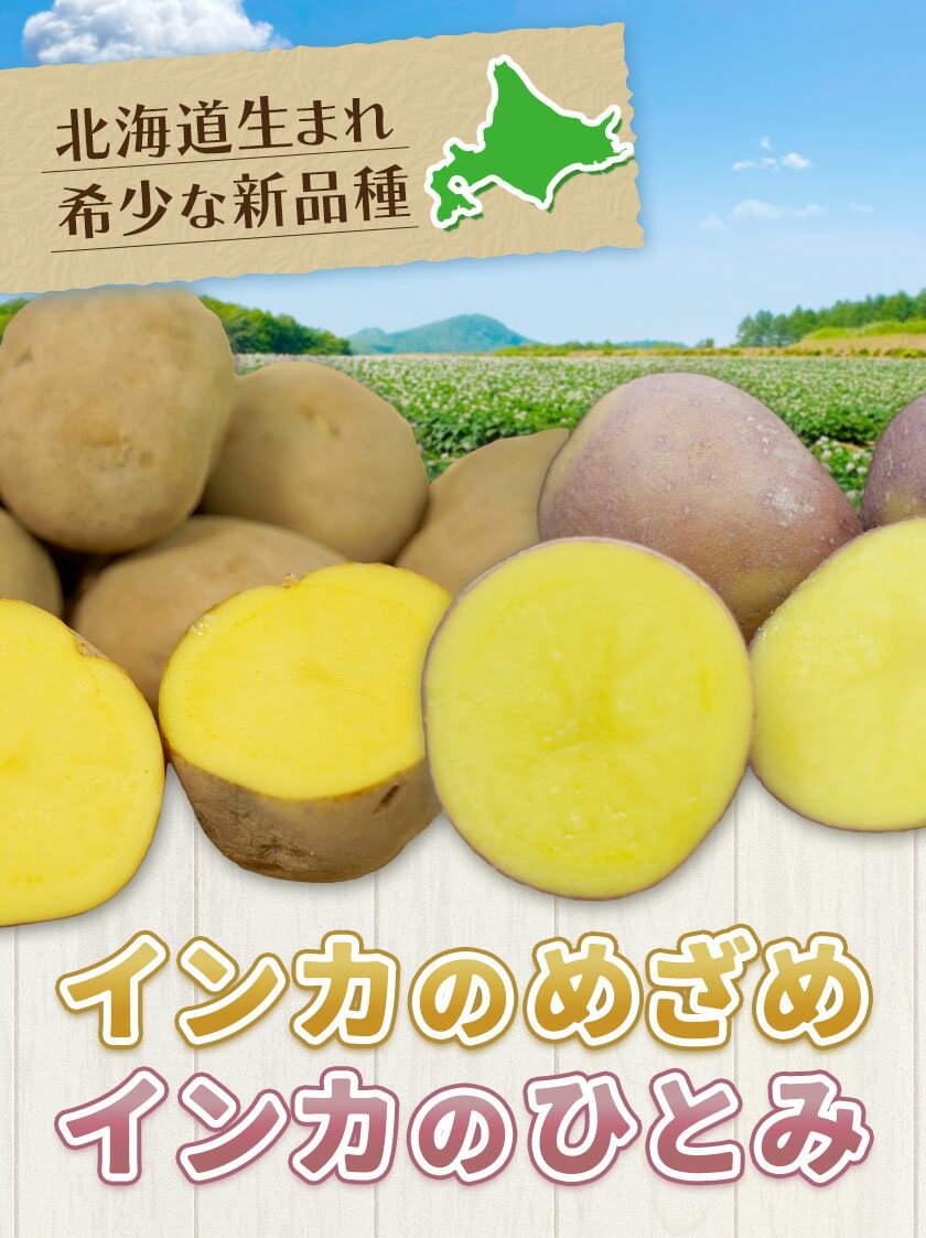 【ふるさと納税】インカのめざめ インカのひとみ 選べる 5kg 10kg じゃがいも 飯山農場《30日以内に出荷予定(土日祝除く)》芋 ジャガイモ 野菜 送料無料 北海道 浦幌町