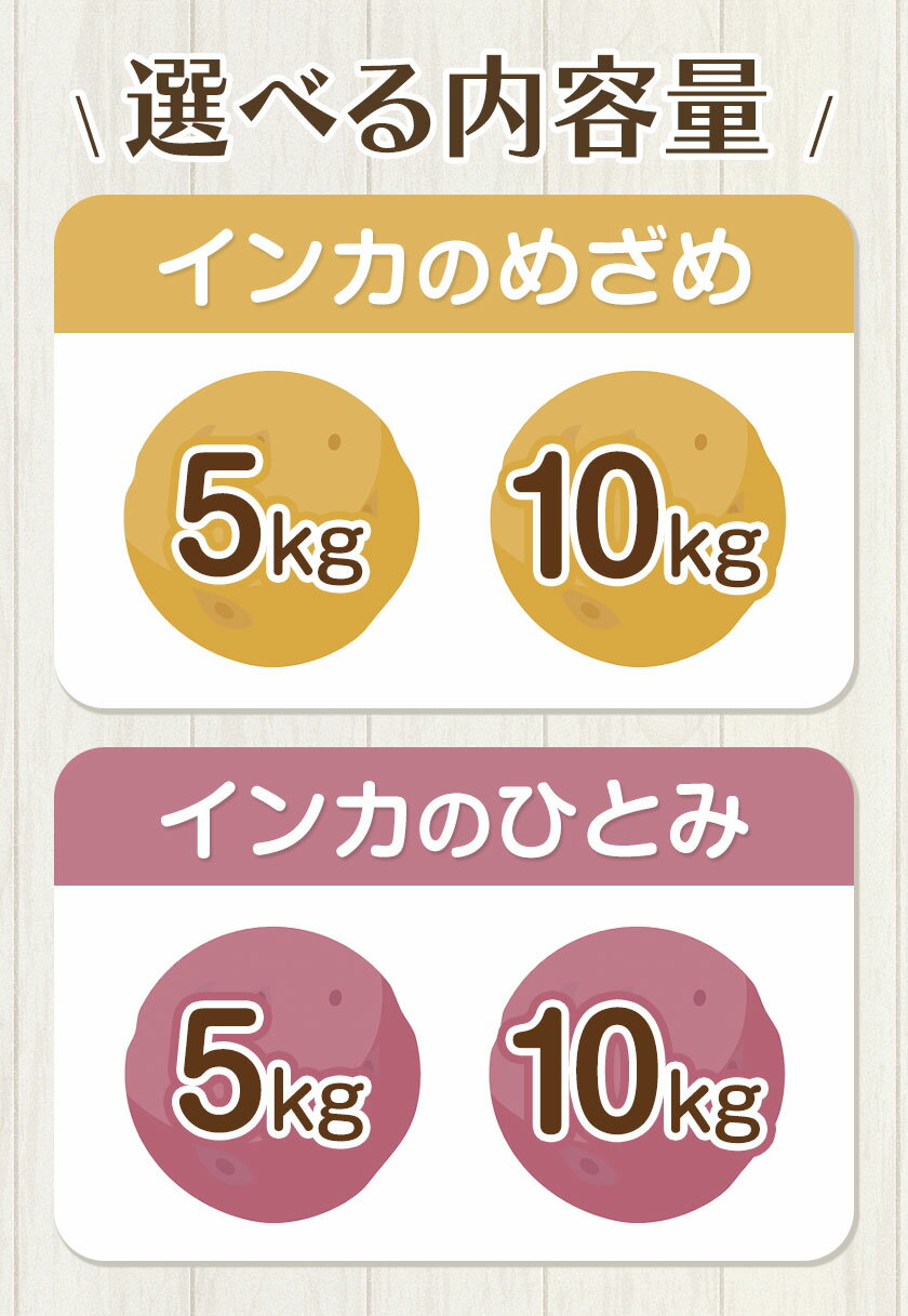 【ふるさと納税】インカのめざめ インカのひとみ 選べる 5kg 10kg じゃがいも 飯山農場《30日以内に出荷予定(土日祝除く)》芋 ジャガイモ 野菜 送料無料 北海道 浦幌町