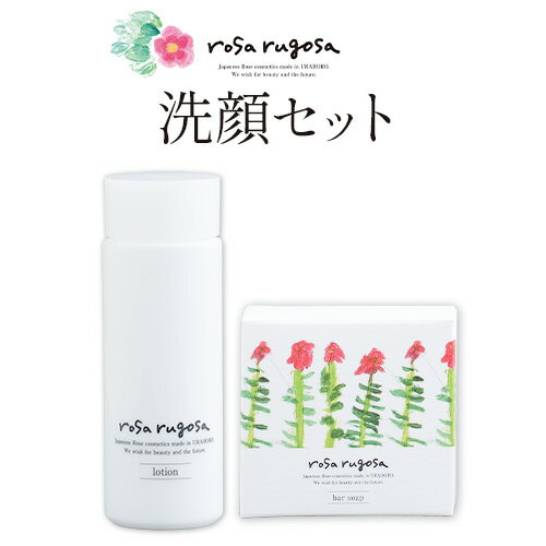 【ふるさと納税】ロサ・ルゴサ 洗顔セット(化粧水 100ml×1本・洗顔石けん 100g×1個)《2025年1月下旬頃から順次発送》株式会社ciokay 北海道 浦幌町 美容 バラ ハマナス 保湿 化粧品