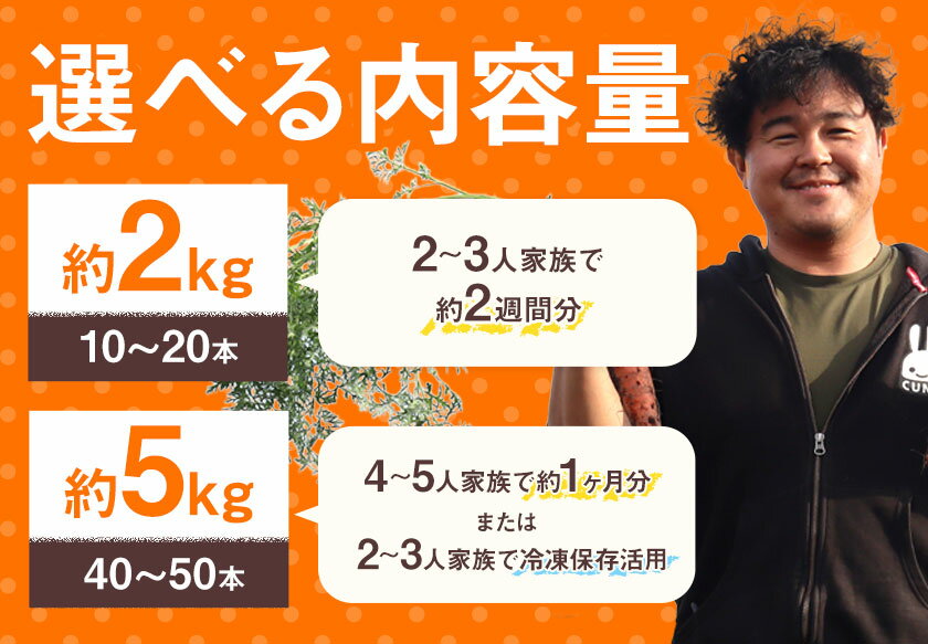 【ふるさと納税】甘～いニンジン 十勝 浦幌べにかなで 【訳あり・不揃い】 約2kg 10～20本 or 約5kg 40～50本 農事組合法人レギューム《12月上旬から5月上旬頃出荷》北海道 浦幌町 人参 にんじん 安心 安全 野菜 お野菜 やさい 紅奏 シャキシャキ 甘い