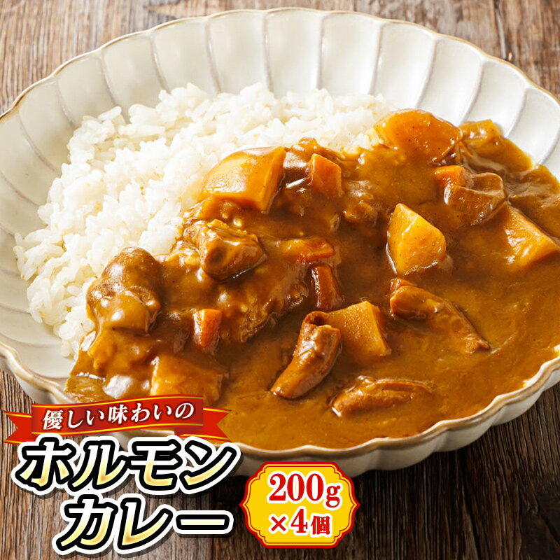 【ふるさと納税】優しい味わいのホルモンカレー 200g×4個