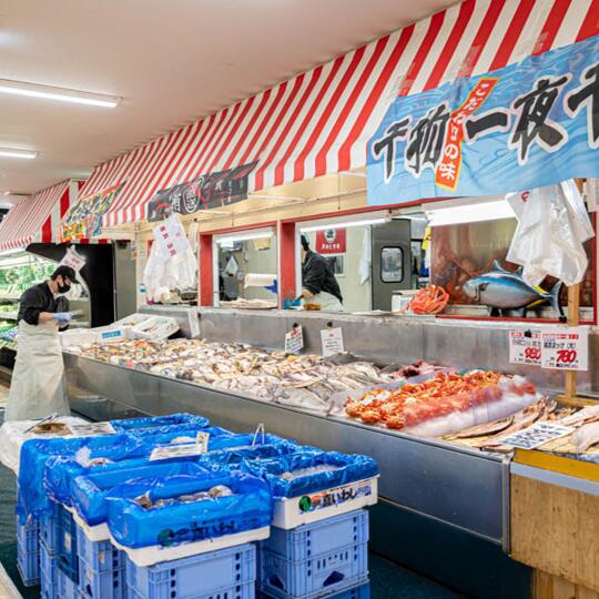 【ふるさと納税】【定期便 3ケ月連続】 お魚の目利きのプロにお任せ！北海道産（国産） 天然 鮮魚 約500g～1kg（釧路の鮮魚セット）【 北海道 釧路町 】 ワンストップ特例制度 オンライン