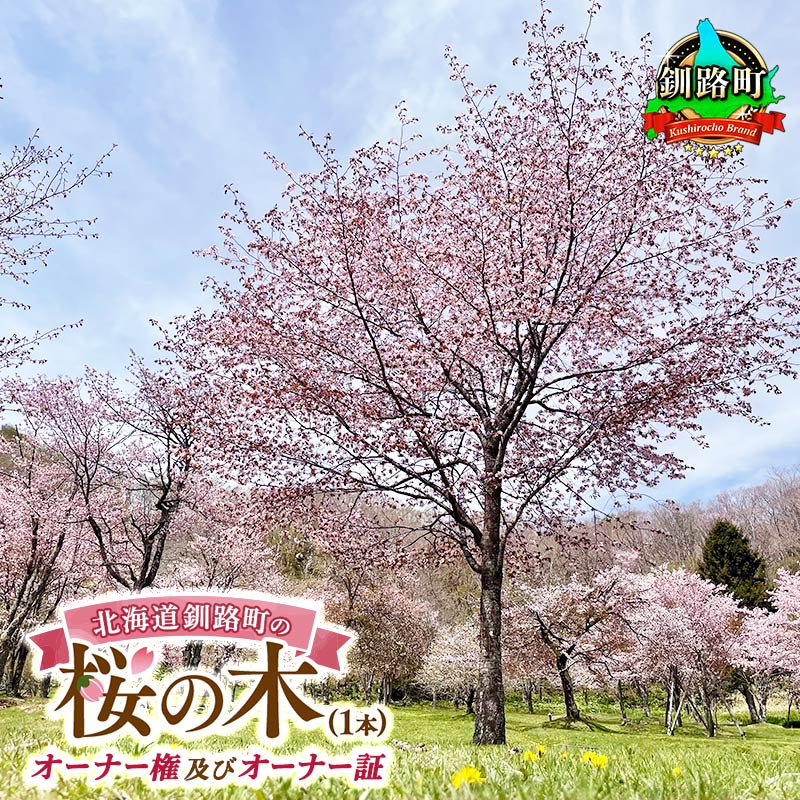 1位! 口コミ数「0件」評価「0」北海道釧路町の桜の木(1本)のオーナー権及びオーナー証＜植樹開催＆プレートお届け時期：2025年5月ごろ＞【 北海道 釧路町 別保公園 桜 ･･･ 