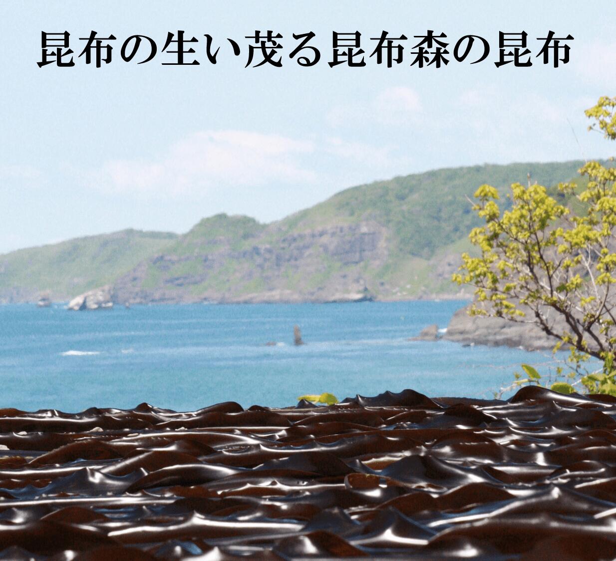 【ふるさと納税】＜楽天限定＞棹前（さおまえ）昆布 北海道 釧路町 昆布森 | こんぶ 国産 北海道産 お買い物マラソン スーパーセール 買いまわり ポイント 送料無料 海産物　3000円 ワンストップ特例制度 オンライン