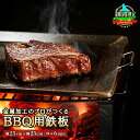 楽天北海道釧路町【ふるさと納税】キャンプ BBQ用 鉄板 【縦25cm 横25cm 厚み 6mm 】｜【内容量 & 発送時期が選べる】 金属加工のプロがつくる オリジナル 鉄板 牛肉 豚肉 鶏肉 羊肉 焼き肉 焼肉 ソロキャンプ キャンプ アウトドア BBQ におすすめ ワンストップ特例制度 オンライン