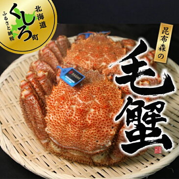 【ふるさと納税】北海道 昆布森の毛蟹 (2〜3尾/合計1kg)<出荷時期:2021年10月ごろ発送予定>【 かに 北海道 釧路町 】