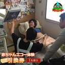 【ふるさと納税】助産院マタニティアイ<赤ちゃんエコー体験>引換券(1名様分)【 利用券 チケット 北海道 釧路町 】 ワンストップ特例制度 オンライン 釧路町 釧路超 特産品 br10