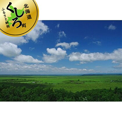 観光タクシー 細岡大観望から釧路川を観る<2時間コース>利用券1枚(定員4名分)【 利用券 チケット 北海道 釧路町 】