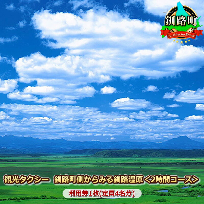 【ふるさと納税】観光タクシー　釧路町側からみる釧路湿原＜2時間コース＞利用券1枚(定員4名分)【 利用..