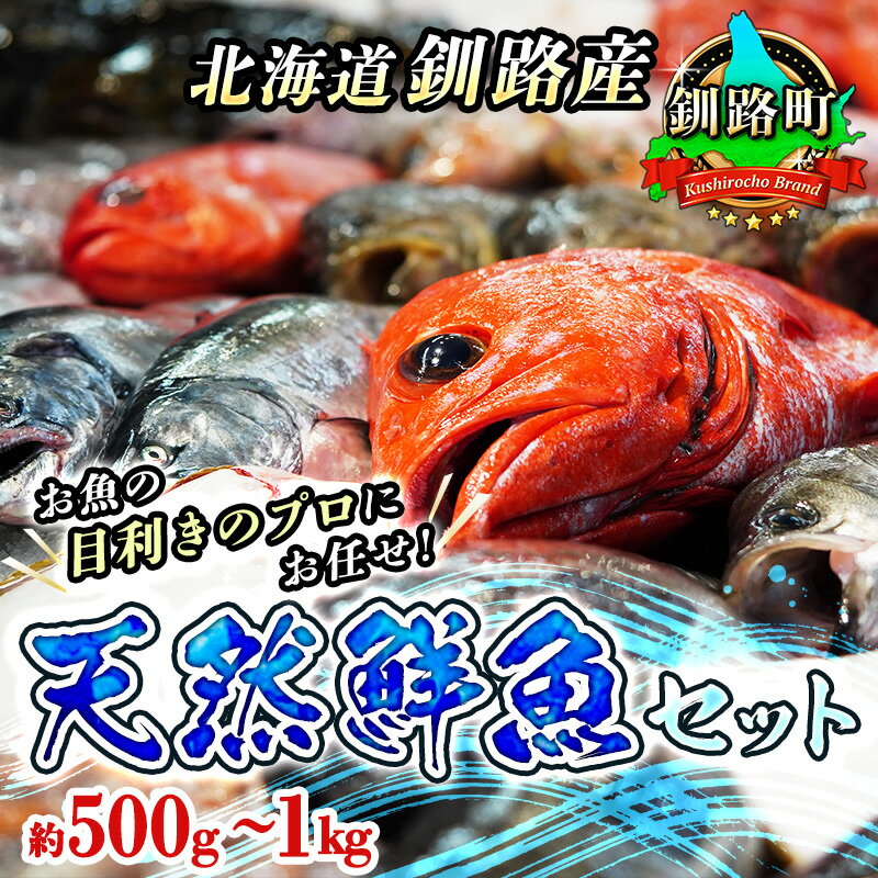 【ふるさと納税】お魚の目利きのプロにお任せ！北海道産（国産） 天然 鮮魚 約500g～1kg（釧路の鮮魚セット）【 北海道 釧路町 】
