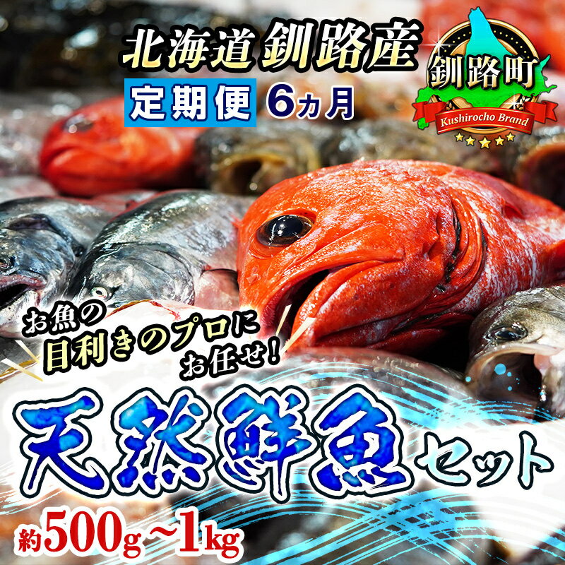 【ふるさと納税】【定期便　6ケ月連続】　お魚の目利きのプロにお任せ！北海道産（国産） 天然 鮮魚 約500g～1kg（釧路の鮮魚セット）【 北海道 釧路町 】